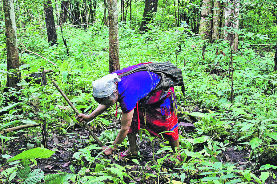 Ekskluzivno: Alo! razotkrio strogo čuvane tajne istočne Srbije (2): Žrtvovao sve krave zbog seksa (VIDEO)