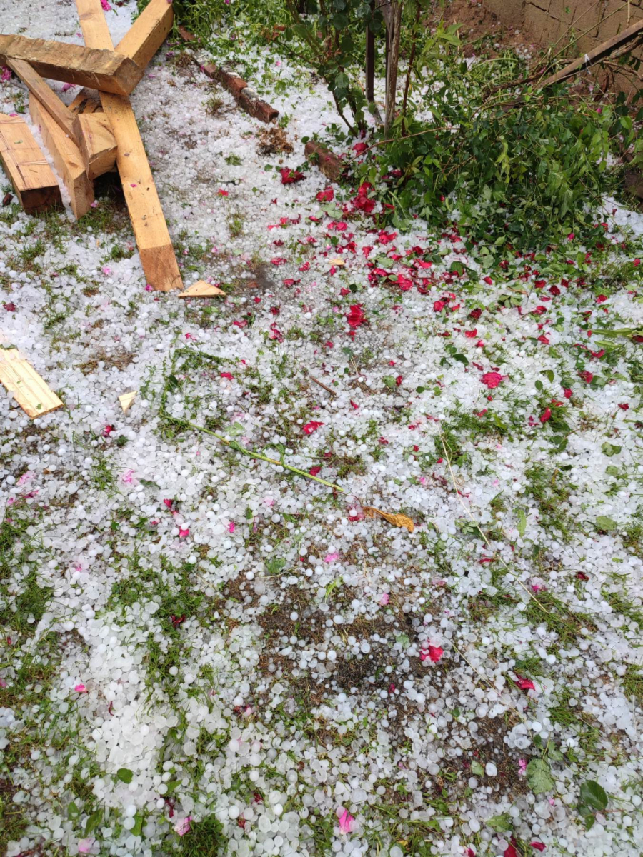 PADAO GRAD VELIČINE ORAHA Nezapamćena oluja u Arilju urnisala malinjake. pričinjena ogromna materijalna šteta (FOTO)