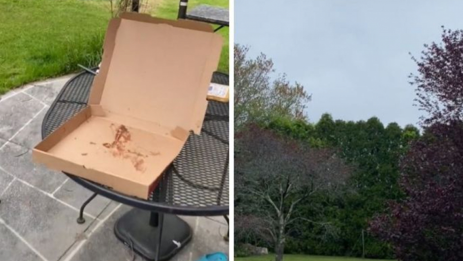 "OVO NIJE MOGUĆE!" Hteo da se snimi tokom jela, ono što je usledilo u deliću sekunde niko nije očekivao (VIDEO)