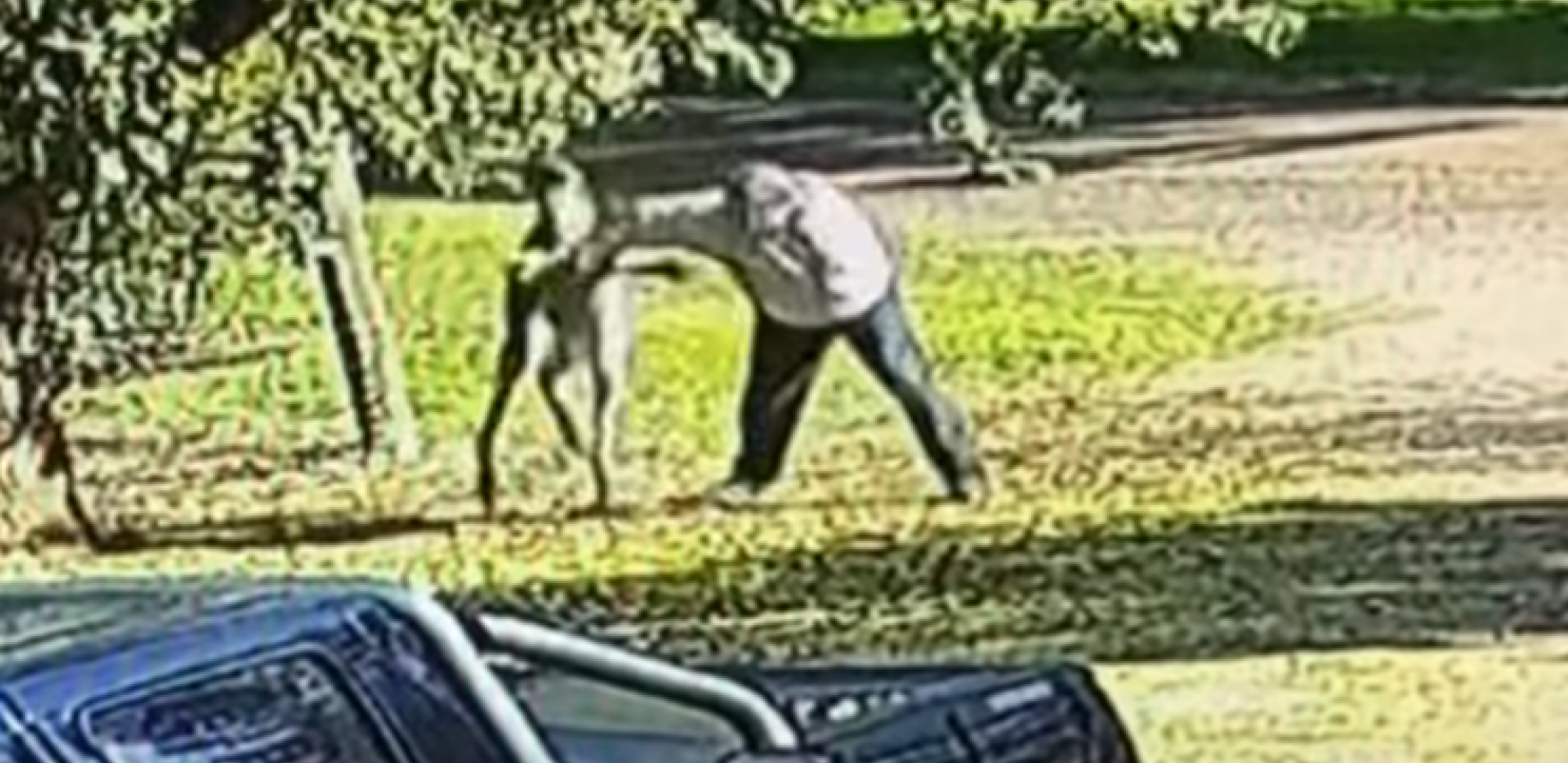 OVO SE NE VIĐA SVAKI DAN Kengur pretukao bivšeg boksera (VIDEO)