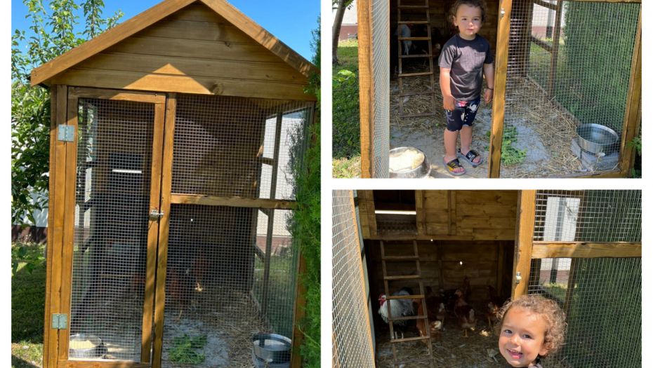 SEKI STIGAO KOKOŠINJAC Pevačica presrećna, puno dvorište živine, a potez malog Jakova sve je oduševio i raznežio (FOTO/VIDEO)