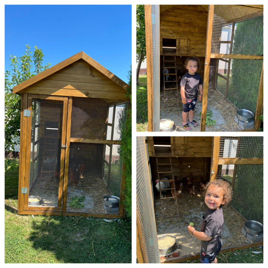 SEKA ALEKSIĆ SA SVOJIM SINOVIMA SKUPLJA KOKOŠIJA JAJA Pevačica je zasadila i svoju baštu