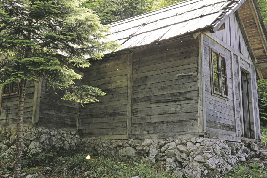 ALO! EKIPA VAM OTKRIVA AVANTURU KAKVU DOSAD NISTE ISKUSILI: Vojnim kamionima na safari po Tari! (FOTO)