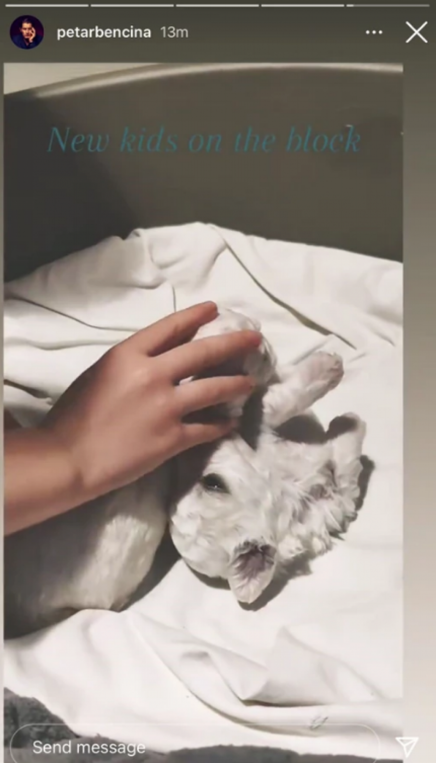 STIŽE POJAČANJE U domu Tamare Dragičević i Petra Benčine stižu dve prinove, njihova deca presrećna