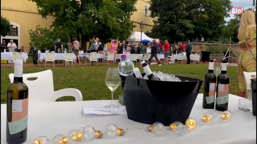 VRSNI ENOLOG PETAR SAMARDŽIJA OTKRIVA SVE DETALJE O VINU! Ko ne poznaje sortu grašac ne poznaje ni karakter Sremca (FOTO/VIDEO)