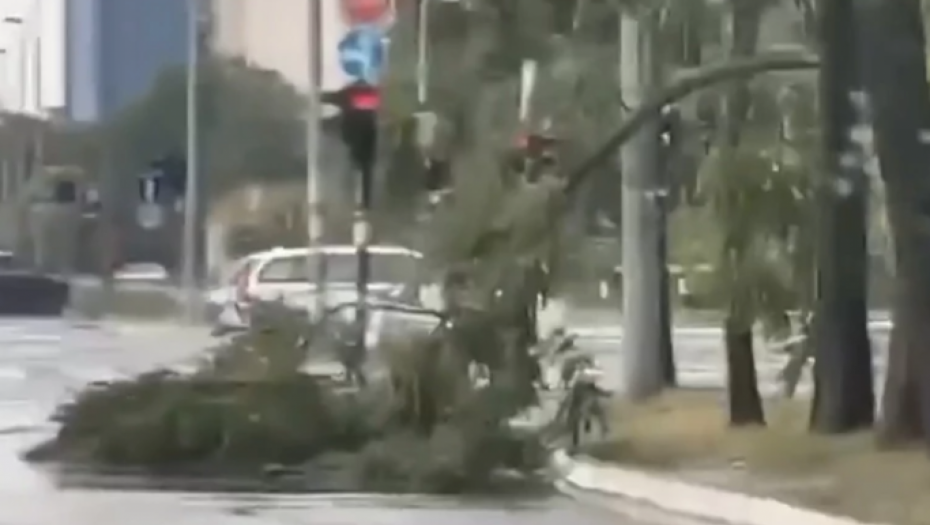 SNAŽNO NEVREME ČUPALO DRVEĆE Pogledajte zastrašujuće slike sa beogradskih ulica (VIDEO)