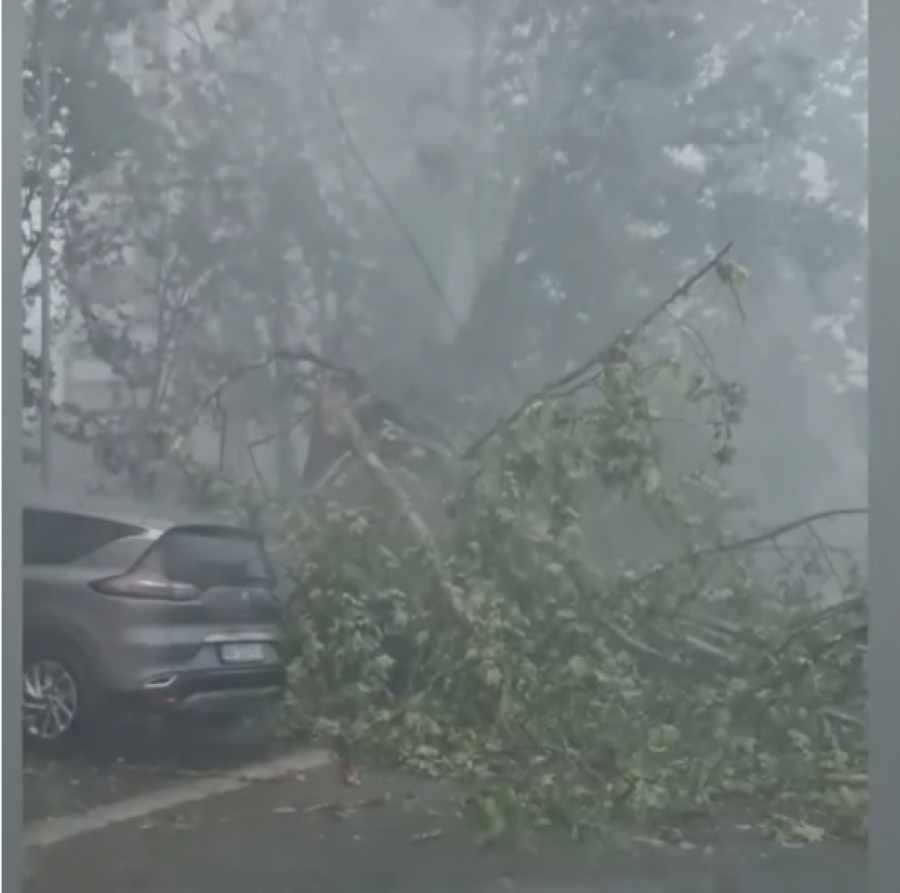 HAOS  I KATASTROFALNE POSLEDICE NEVREMENA U SRBIJI Prestonica najgore prošla