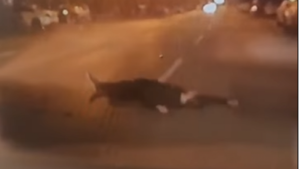 JEZIV PRIZOR NA ULICI U NOVOM SADU! Čovek leži nasred puta, auto ga umalo pregazio (VIDEO)
