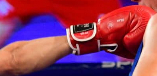 MOĆNA SRBIJA Zvezda - Loznica u finalu bokserske regionalne lige u Skoplju