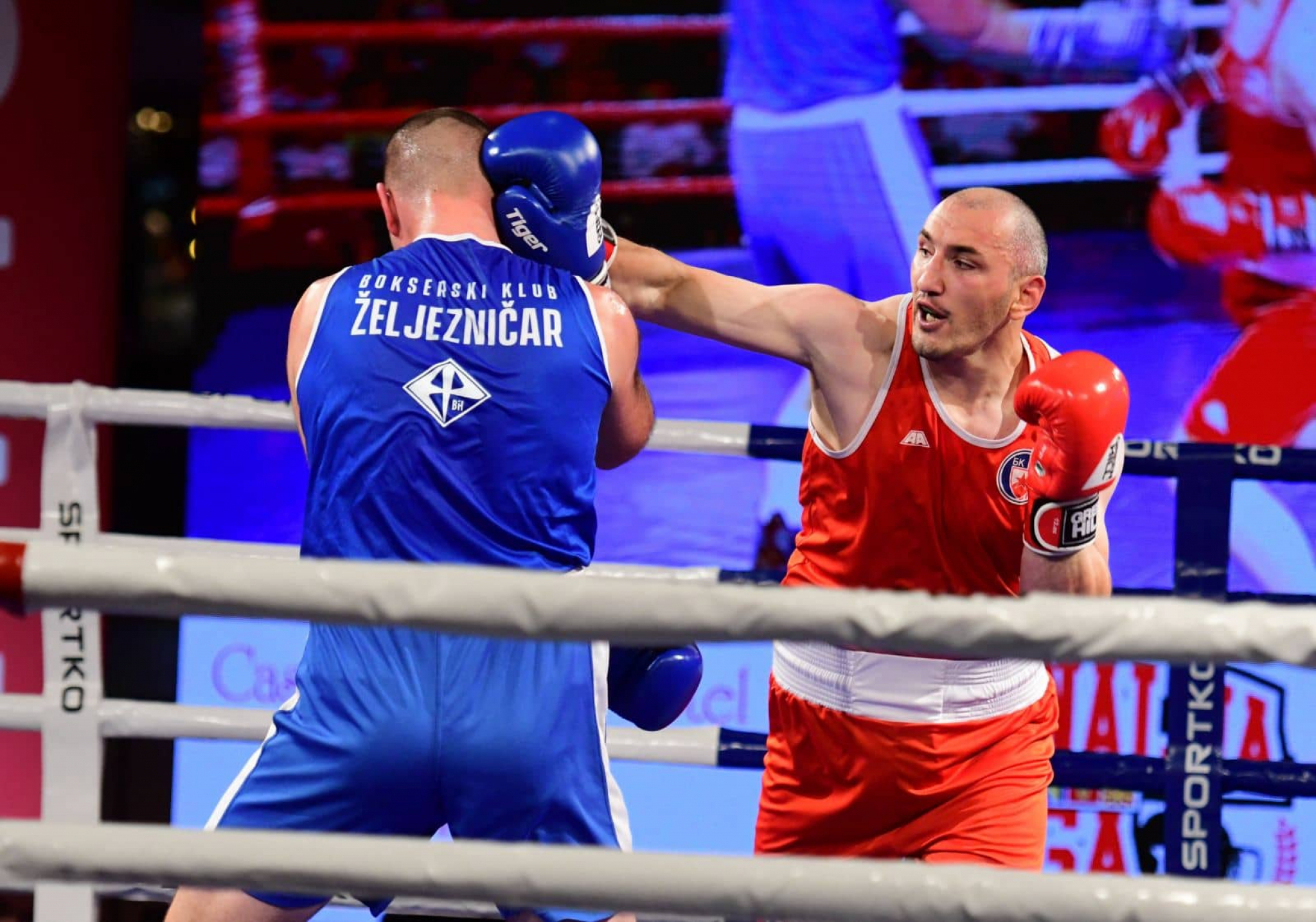 MOĆNA SRBIJA Zvezda - Loznica u finalu bokserske regionalne lige u Skoplju