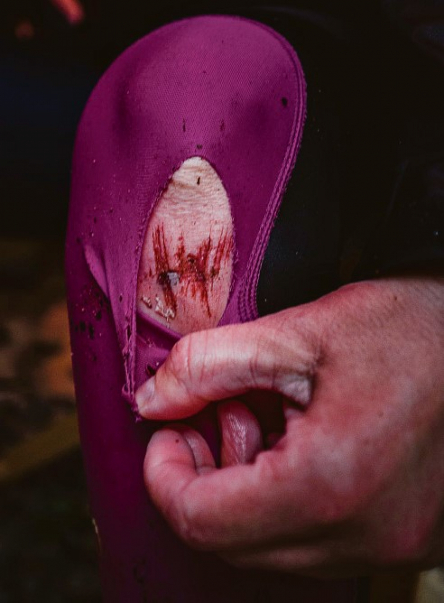 ALO! NA STAROJ PLANINI Kiša, magla, vetar, bujice: 102 KILOMETARA MORDORA!