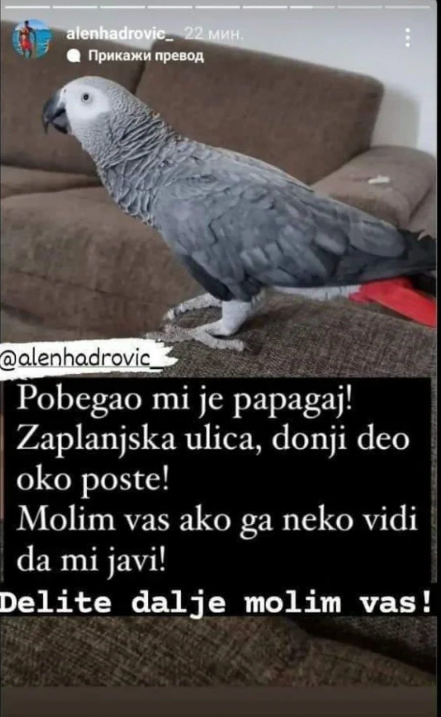 ŠOKANTNO Alen Hadrović oglasio se putem društvenih mreža da kaže šta mu je nestalo, a onda se oglasio Majin bivši verenik, svi ostali u šoku (FOTO)