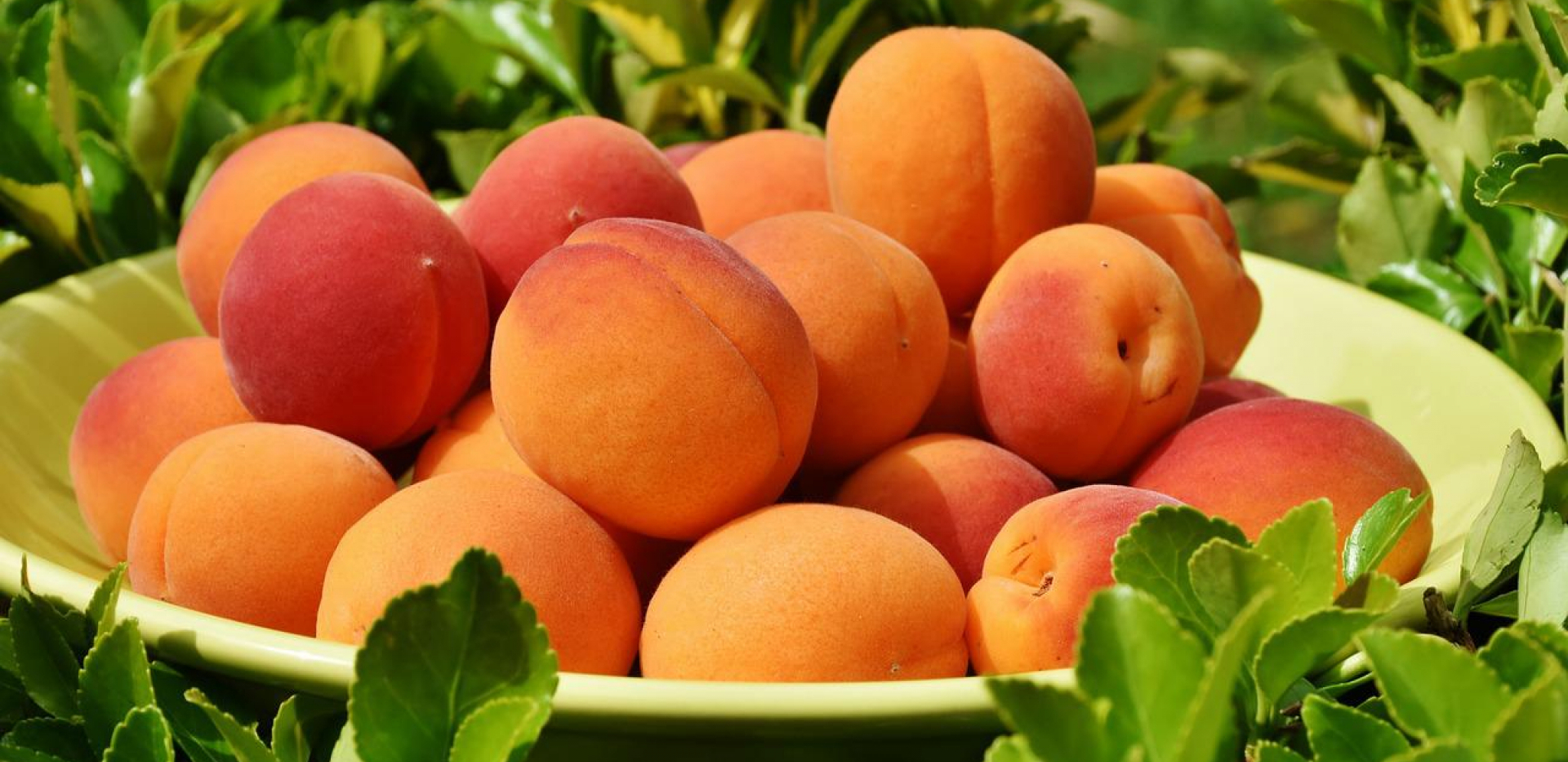 RASHLAĐENO VOĆE JE SPAS U BORBI PROTIV VISOKIH TEMPERATURA Obavezno jedite ove namirnice za zdravo srce!