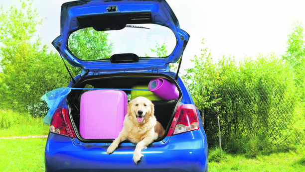 PREDSTAVLJAMO VAM Savete za putovanje s ljubimcem