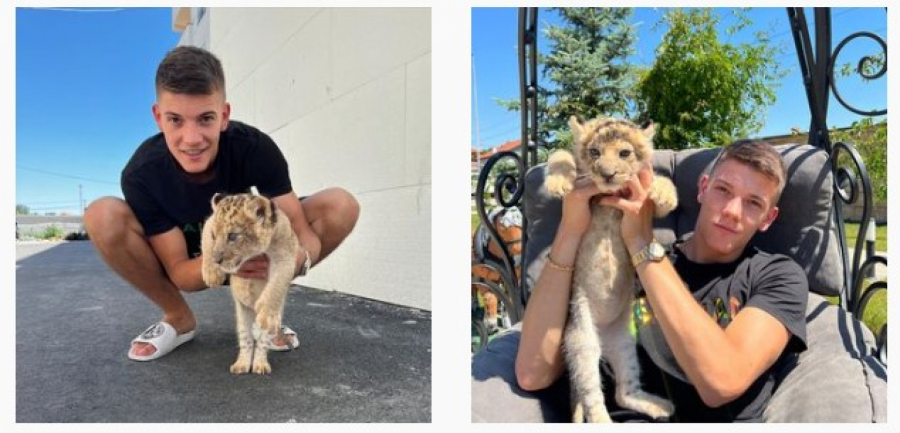 BAHATI JUTJUBER Janko jedva čeka da pratiocima pokaže kako zakoni za njega ne važe: On u stanu gaji lava