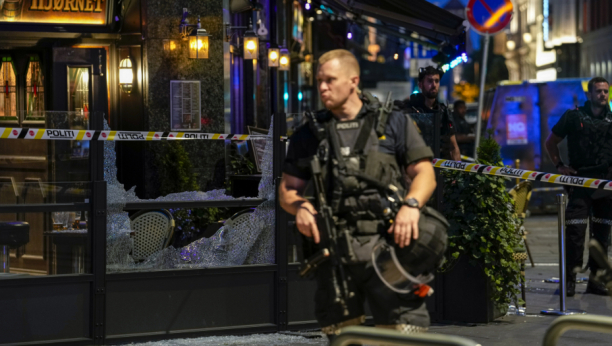 POLA GRADA JURILO TERORISTU Napad u Norveškoj zbog Parade ponosa