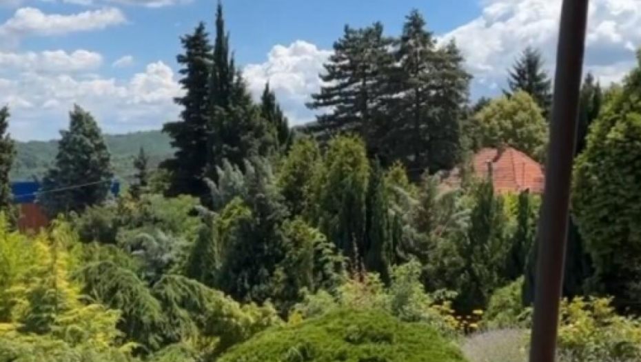 Voditeljka uživa u pogledu