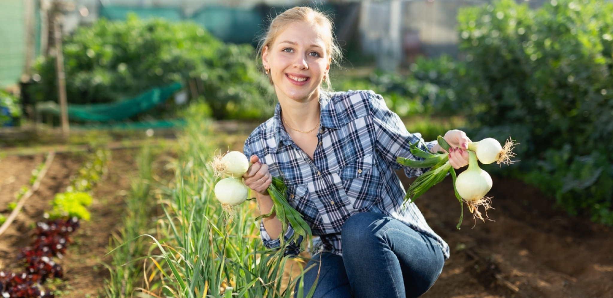 NEMA HEMIJE, A JEFTINO Zakopajte jednu namirnicu u baštu i biljke će probujati