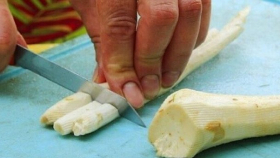 UNIŠTAVA BAKTERIJE, OPORAVLJA PLUĆA Korijen ove biljke u roku od nekoliko minuta će očistiti sinuse i bronhije