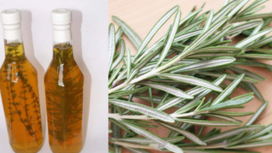 PROVERENO DELUJE - RUZMARIN I RAKIJA Tretman za bolne vene, cirkulaciju i grčeve u nogama