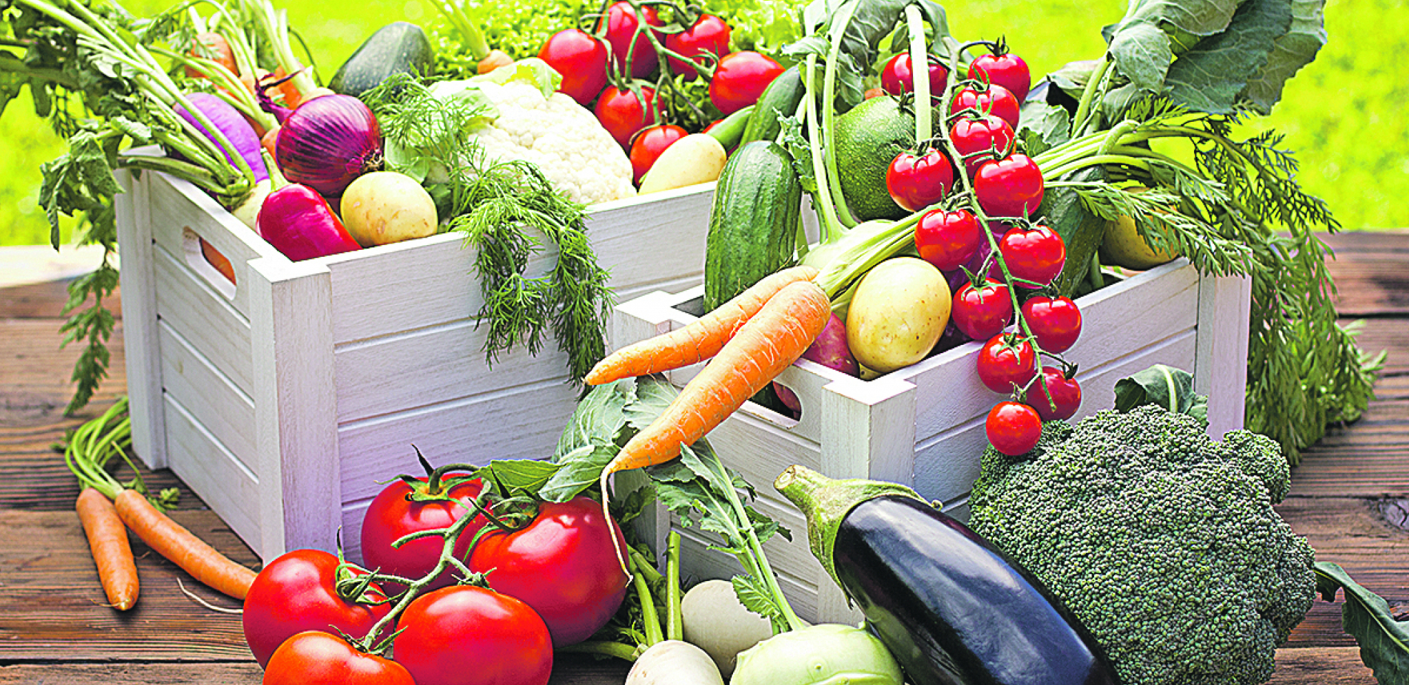 ONO SI ŠTO JEDEŠ Da li je organska hrana boljeg kvaliteta?