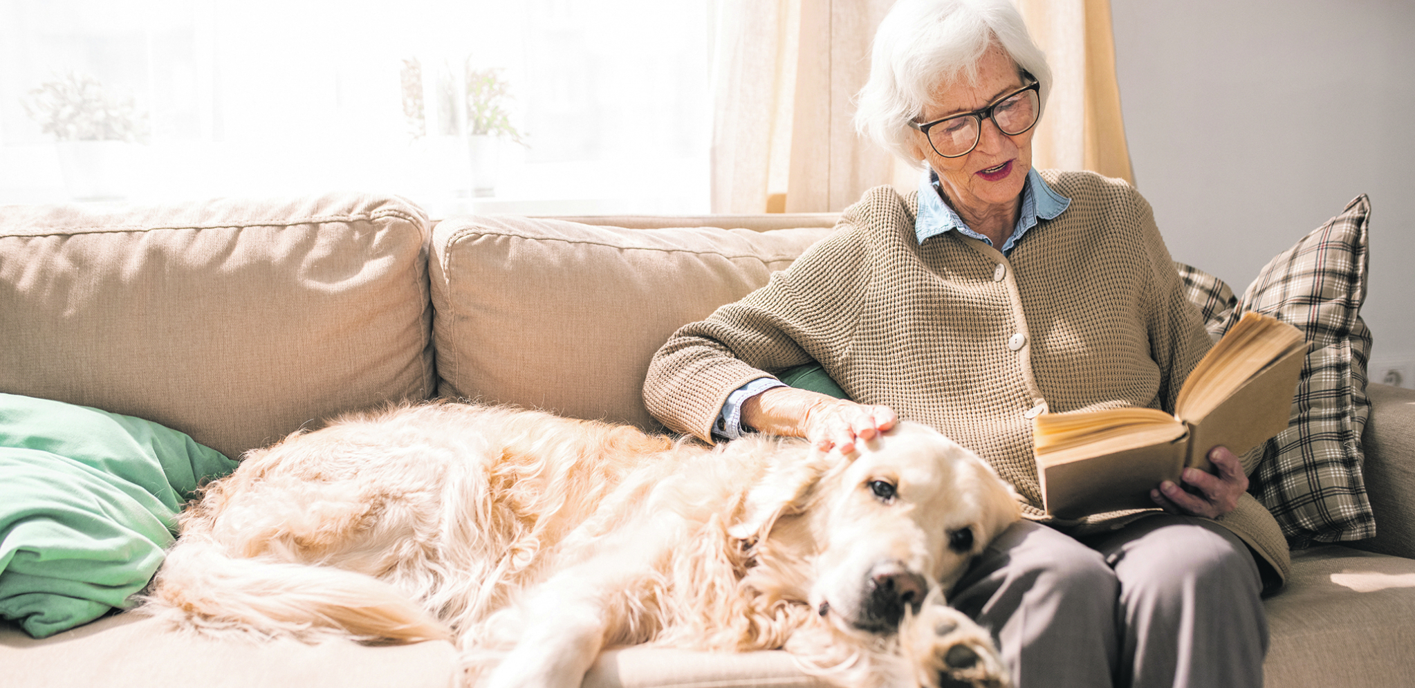 ŠTA PSI SANJAJU? Odgovor će vas oduševiti