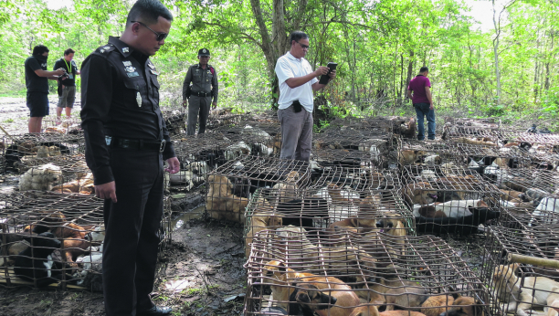 KINESKO MINISTARSTVO POLJOPRIVREDE NAGLASILO Psi nisu životinje za jelo, već za društvo ljudi