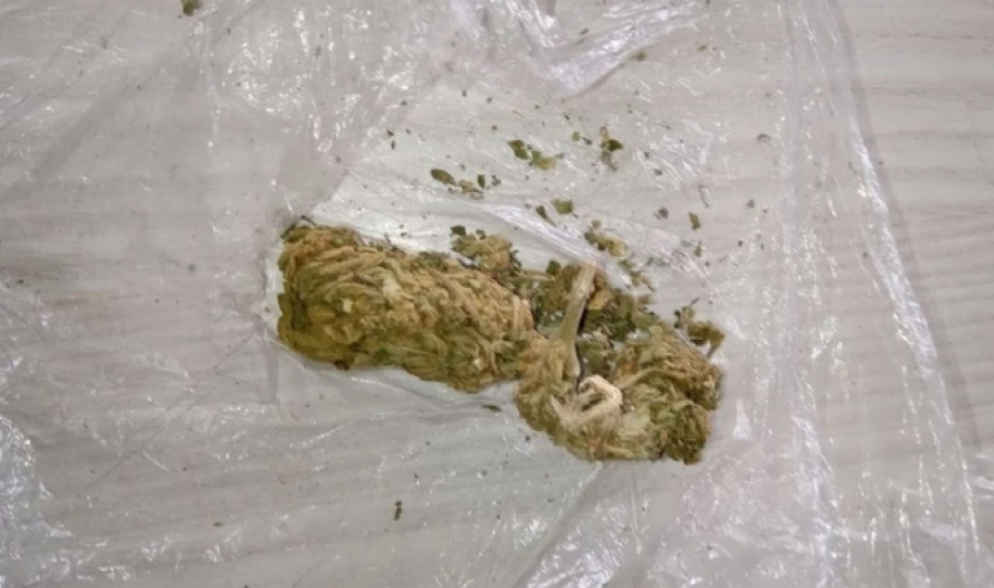 UHAPŠEN FRANCUZ NA GRADINI U čarapi sakrio semenke hašiša (FOTO)