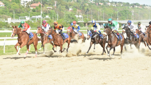 PRAZNIK KONJIČKOG SPORTA U nedelju na Beogradskom hipodromu 100. srpski galopski derbi, očekuje se dolazak Nikole Jokića