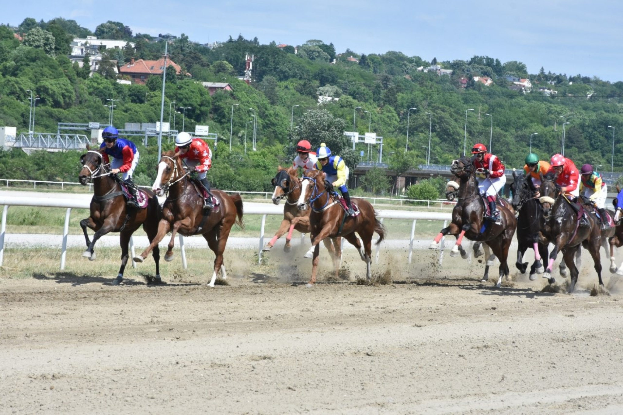 PRAZNIK KONJIČKOG SPORTA U nedelju na Beogradskom hipodromu 100. srpski galopski derbi, očekuje se dolazak Nikole Jokića