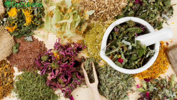 NIJE VODA SA LIMUNOM Čisti telo od otrova i poboljšava cirkulaciju i jedini je napitak koji treba da uzimate svakog jutra