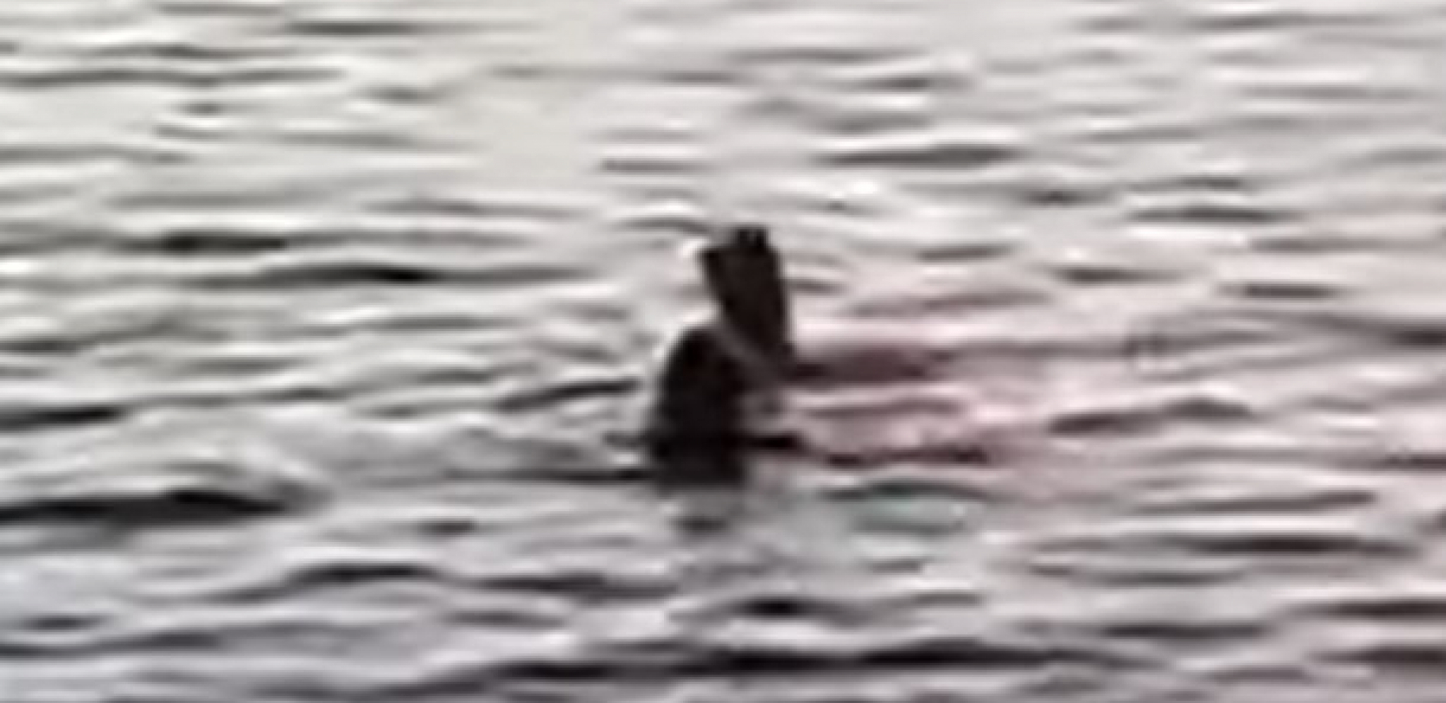 ISPLIVAO NOVI SNIMAK KRVAVOG HAOSA U HURGADI Video izbliza otkriva tragične poslednje momente stradale žene (VIDEO)