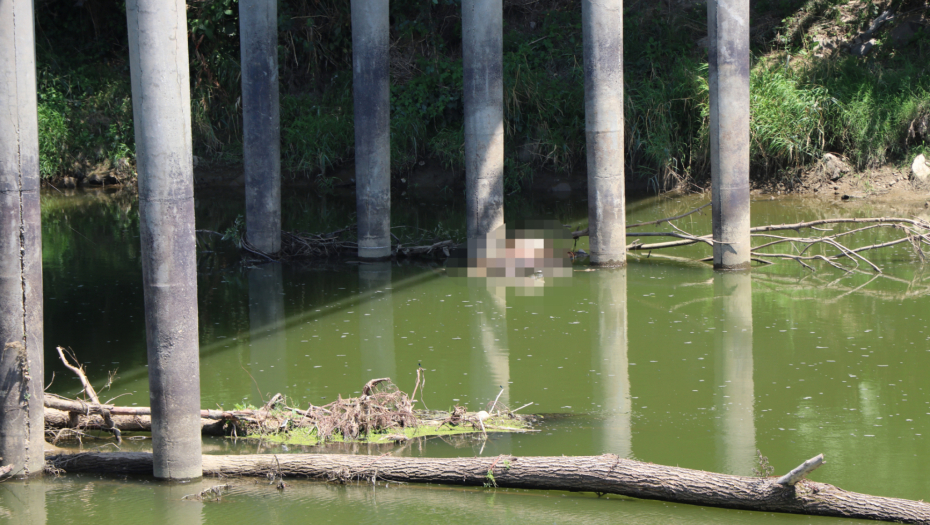 BRAT PRIJAVIO NESTANAK: Otkriven identitet muškarca čije je telo pronađeno u Savi