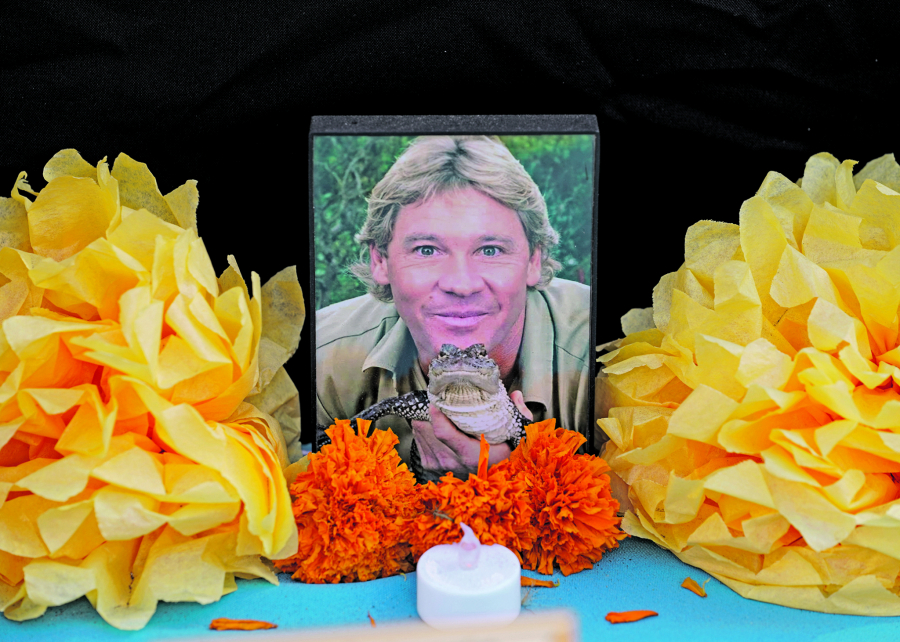 KRVAVO MORE Nova muka za srpske turiste u Hurgadi: Posle ajkula, napadaju i ove NEMANI (FOTO)