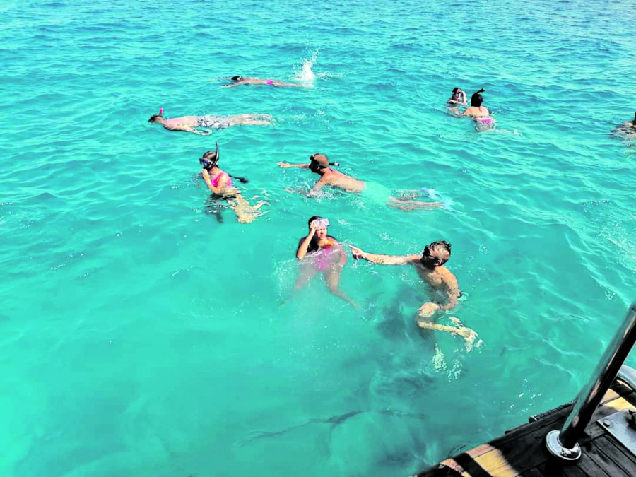 KRVAVO MORE Nova muka za srpske turiste u Hurgadi: Posle ajkula, napadaju i ove NEMANI (FOTO)