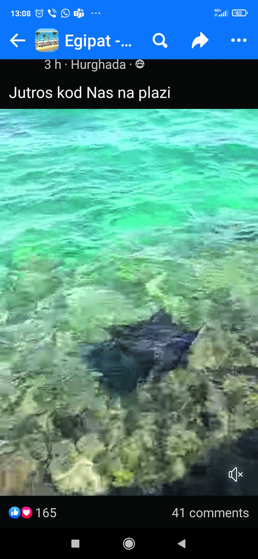 KRVAVO MORE Nova muka za srpske turiste u Hurgadi: Posle ajkula, napadaju i ove NEMANI (FOTO)