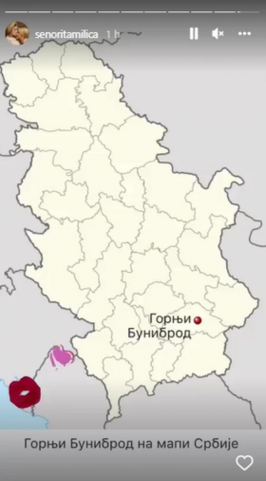 MILICA UZVRAĆA UDARAC Ana Nikolić ismevala je Pavlovićevu zbog južnjačkog naglaska, ona se odmah oglasila (FOTO)