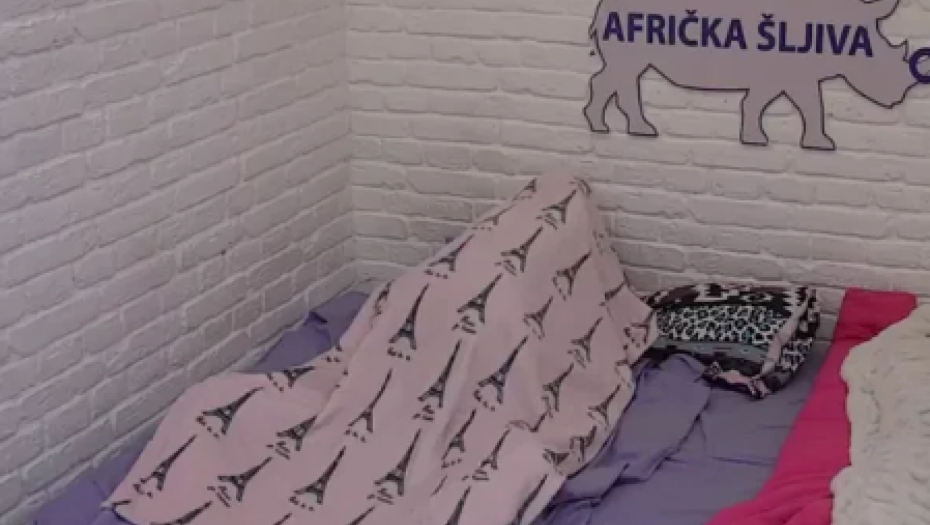 TRESLA SE IZOLACIJA Žestoka akcija Dalile i Cara, nadoknadili sve što su propustili (VIDEO)