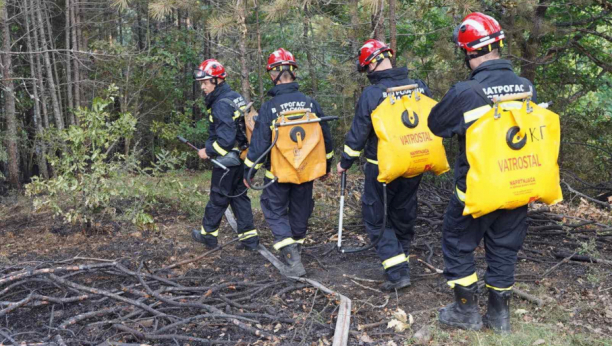 POŽAR NA RAVNOJ GORI Buktao plamen od 2 metra, goreo hektar ipo borove šume, vatrogasci se izborili s buktinjom