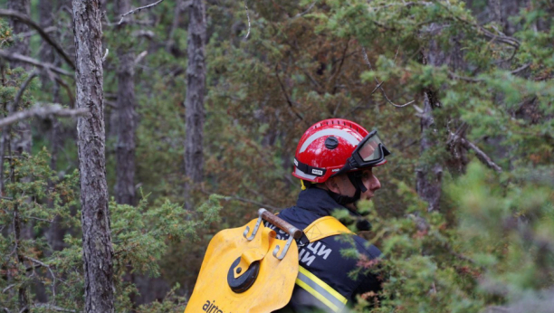 VATRA POD KONTROLOM Lokalizovani požari na Divčibarama, kod Negotina i Kraljeva