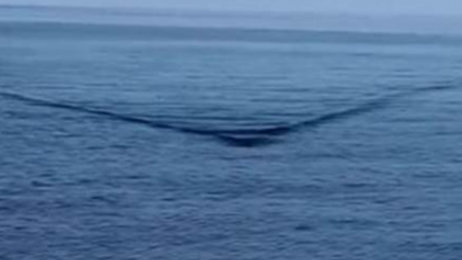 ZASTRAŠUJUĆI SNIMAK OD KOJEG ZASTAJE DAH! Uhvaćen jeziv trenutak dok se ogromna ajkula približava čamcu (VIDEO)