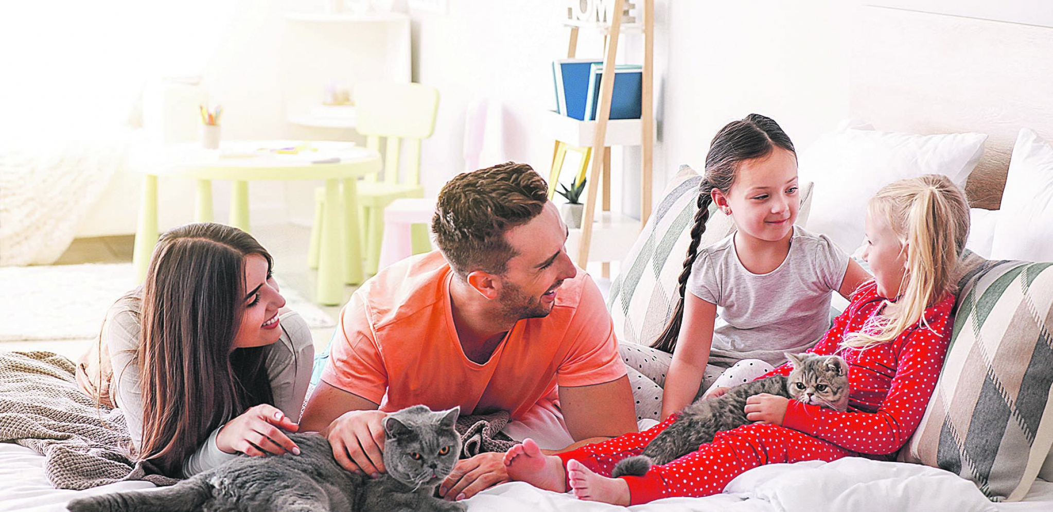 MAČJI ŽIVOT Kako na pravilan način prilagoditi okruženje novoj mački u vašem domu