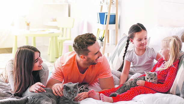 MAČJI ŽIVOT Kako na pravilan način prilagoditi okruženje novoj mački u vašem domu