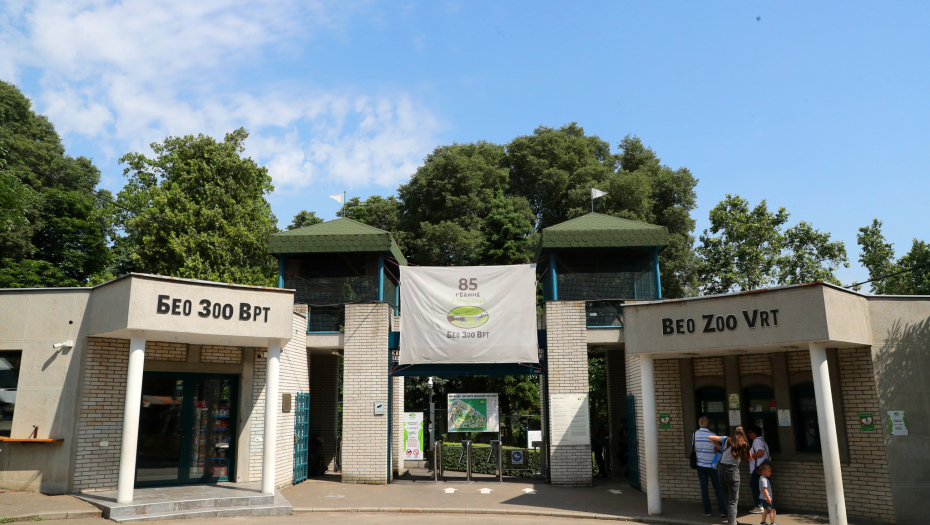 POTVRĐENO Beogradski ZOO vrt se izmešta, poznata nova lokacija