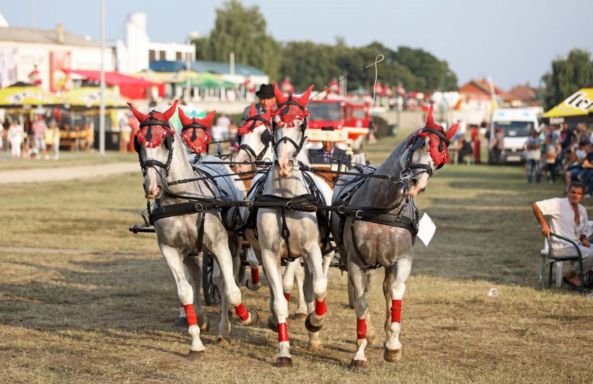 Velikogospojinski dani u Novom Bečeju od 26. do 28. avgusta