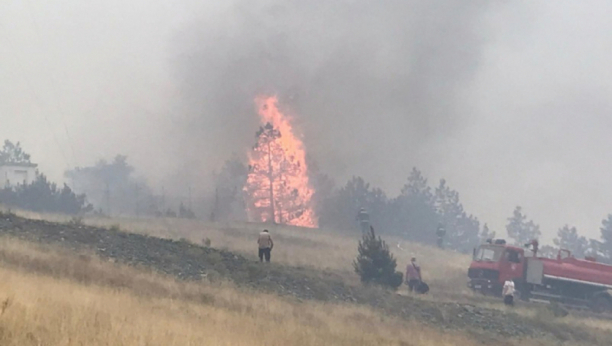 HRABRI VATROGASCI ODRADILI POSAO Požar na Tari stavljen pod kontrolu (FOTO)