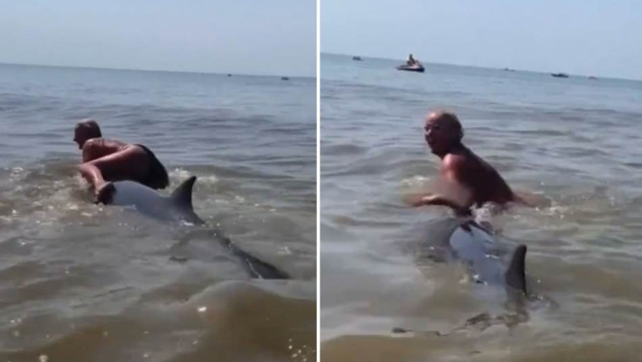 ŽENA NASRNULA NA DELFINA Skinula kupaći i zajahala ga