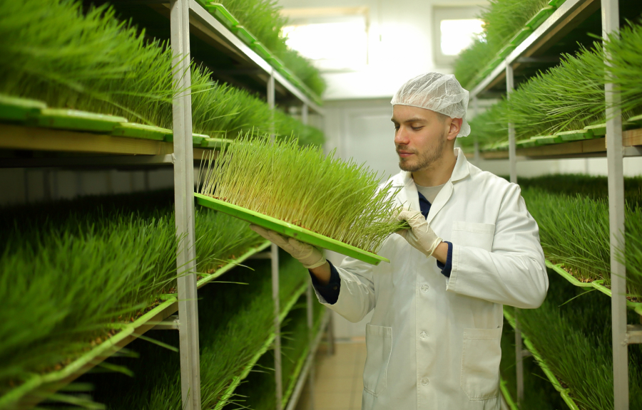 Kako unositi OMEGA 3 masne kiseline kada ih telo ne može proivesti?