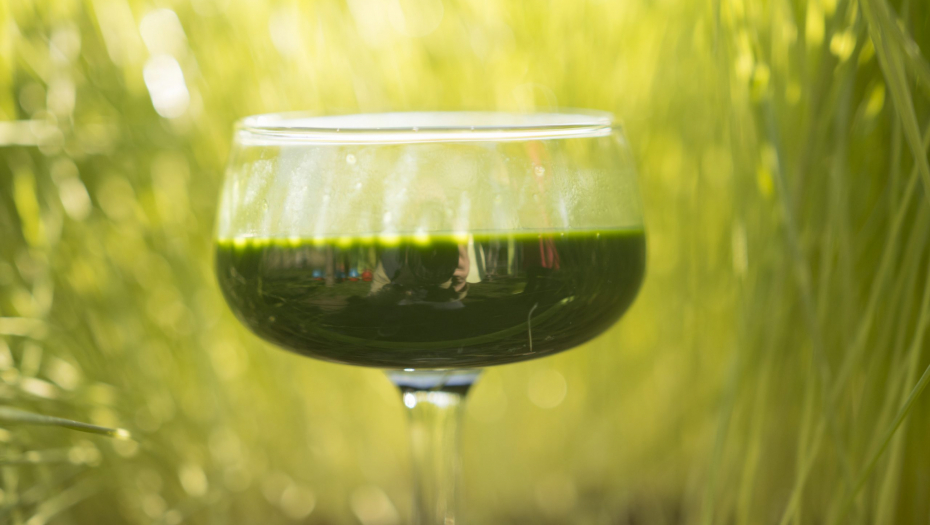 Kako unositi OMEGA 3 masne kiseline kada ih telo ne može proivesti?