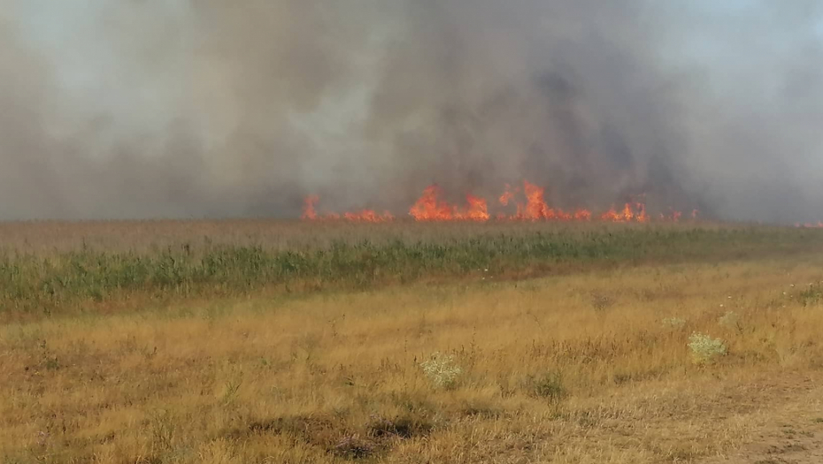 VELIKI POŽAR U OKOLINI KIKINDE Gori Specijalni rezervat prirode